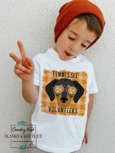 Tennessee Volunteers